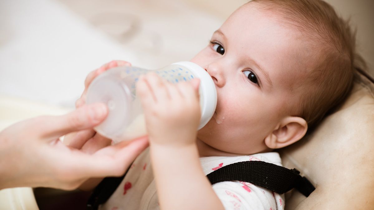 Pentingnya Lactobacillus Reuteri Pada Susu Untuk Bayi 1 Tahun